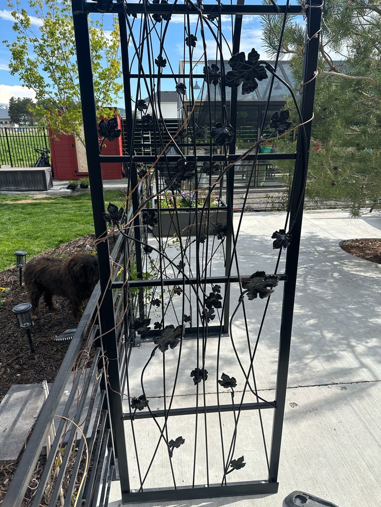 Black metal garden gate with decorative floral design in a residential outdoor setting