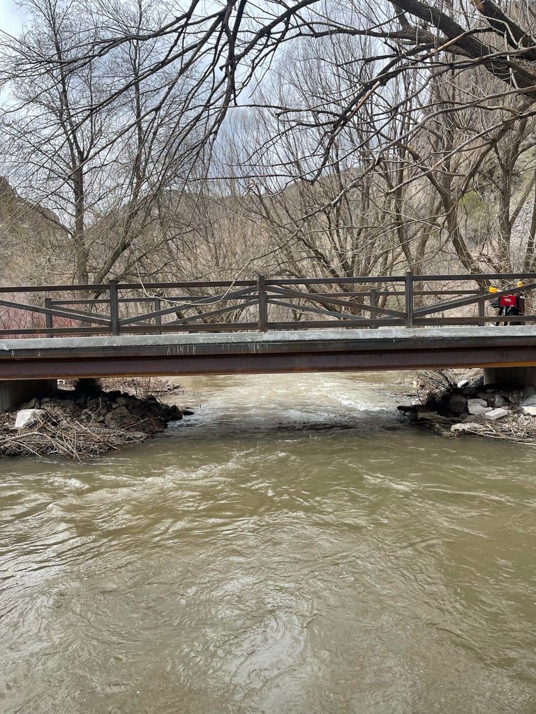 Wooden bridge spanning a swollen muddy river with bare trees lining both banks in early spring